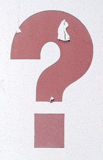 Wellness Program Questions