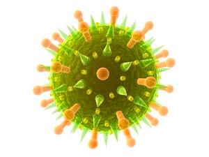 FluVirus