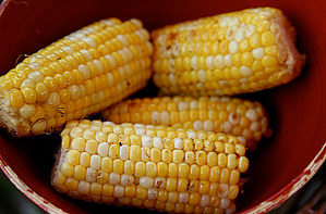 corn