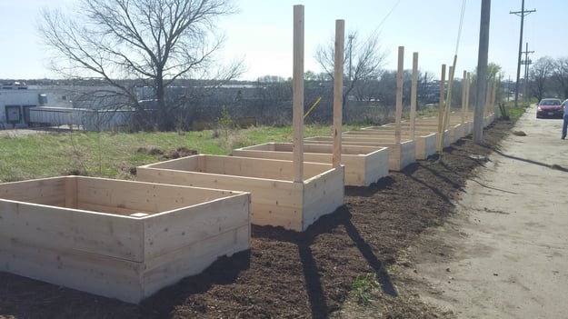 Community Garden in Wellness Program