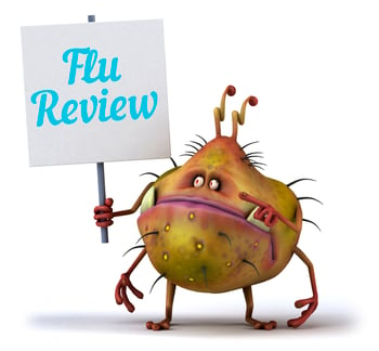 Flu Review, Flu Bug
