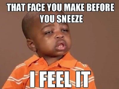 Sneeze Meme
