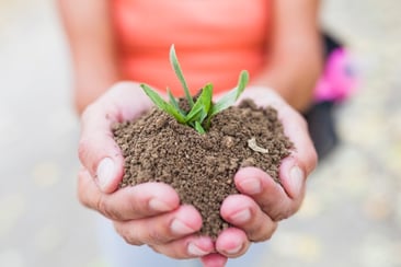 crop-hands-holding-soil-and-sprout_23-2147779018